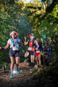 BIB: 1262
                            <button type="button" onclick="openModal(19240810)" class="btn btn-primary btn-sm float-right btn-popup" data-toggle="modal" data-target=".modal-high-quality">
                        <i class="fas fa-shopping-cart"></i> Add to Cart
                    </button>
                                            <button type="button" onclick="isThisMe(19240810, true)" class="btn btn-success btn-sm float-right btn-popup btn-isme hidden" data-toggle="tooltip" data-placement="bottom" title="นี่คือรูปของคุณใช่ไหม คลิกที่นี่เพื่อเอาเข้าอัลบั้ม">
                        <i class="fas fa-plus"></i> Add to album
                    </button>
                    <button type="button" onclick="isThisMe(19240810, false)" class="btn btn-warning btn-sm float-right btn-popup btn-isnotme hidden">
                        <i class="fas fa-ban"></i> Remove from album
                    </button>